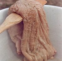 velbloudí žaludek pro stimulaci potence